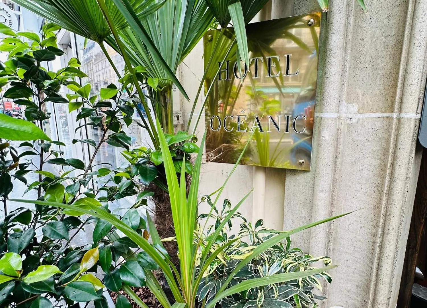 Hotel Oceanic - Grands Magasins